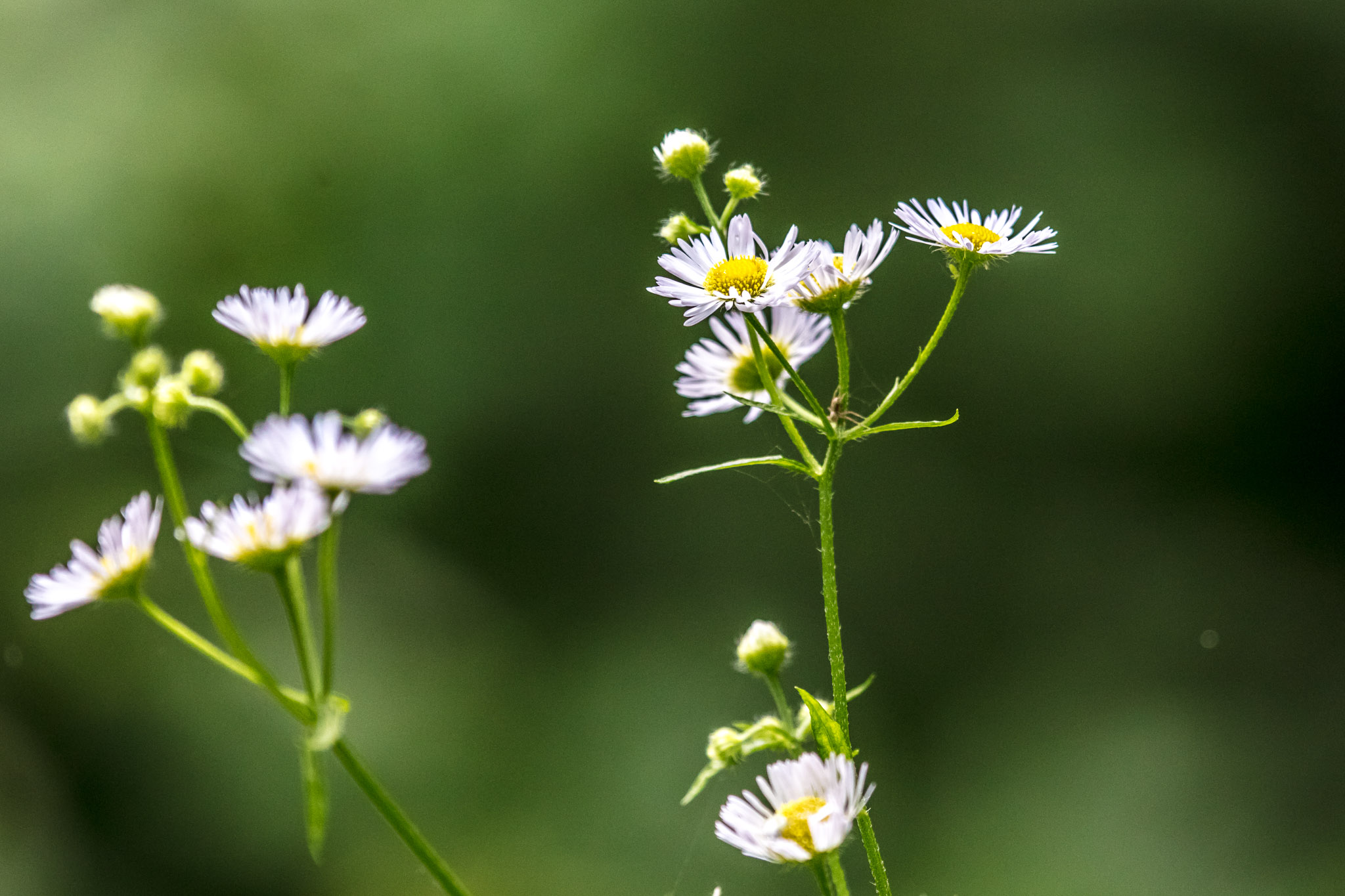 20210725105154 017930